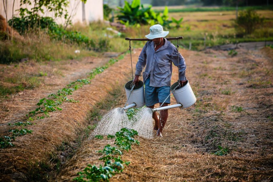 Farmář zalévá své pole