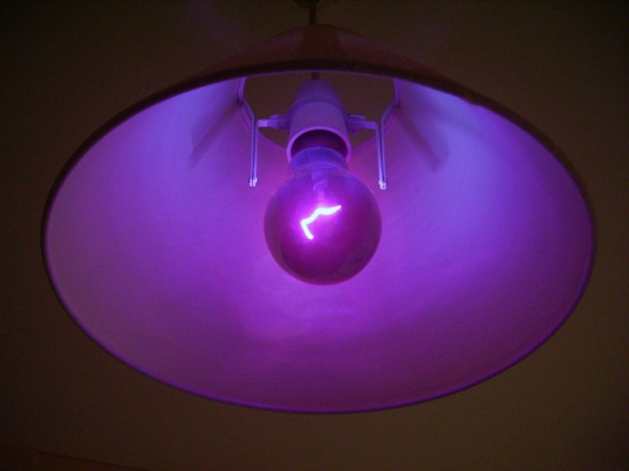 Žárovka s ultrafialovým světlem